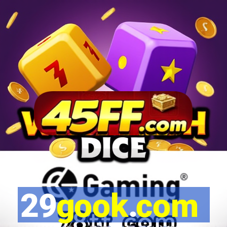 29gook.com