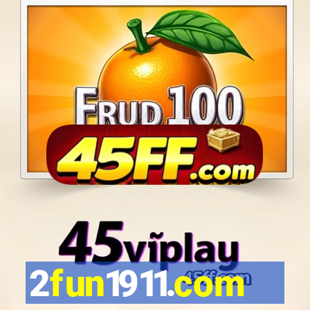 2fun1911.com