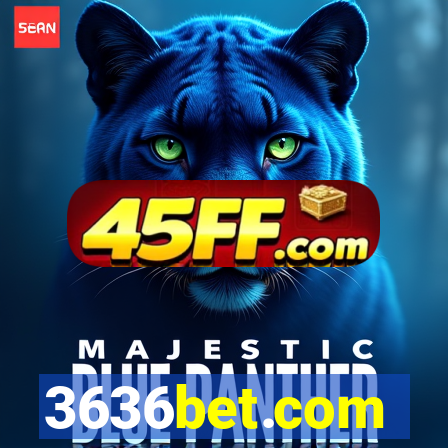 3636bet.com