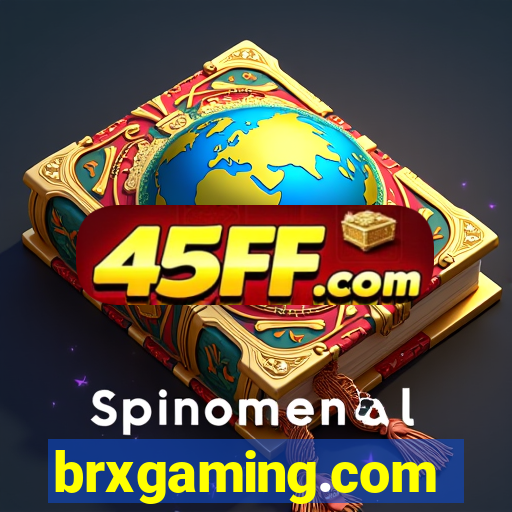 brxgaming.com