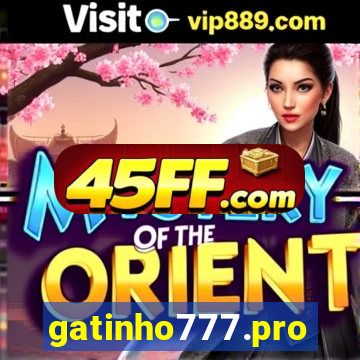 gatinho777.pro