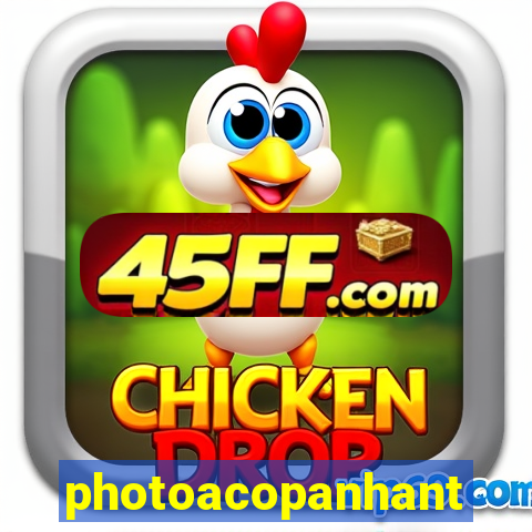 photoacopanhante.