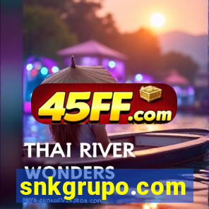 snkgrupo.com