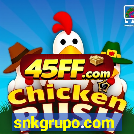 snkgrupo.com