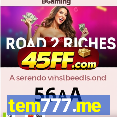 tem777.me