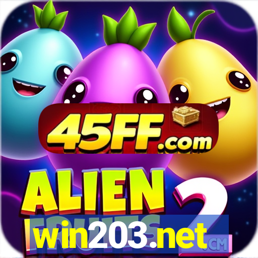 win203.net
