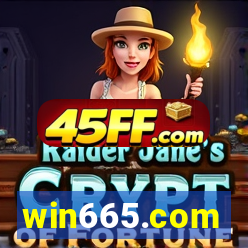 win665.com