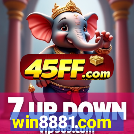 win8881.com
