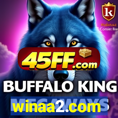 winaa2.com