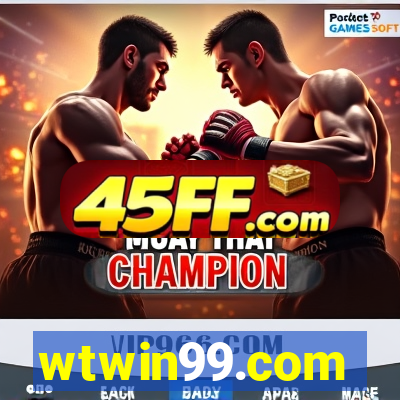 wtwin99.com
